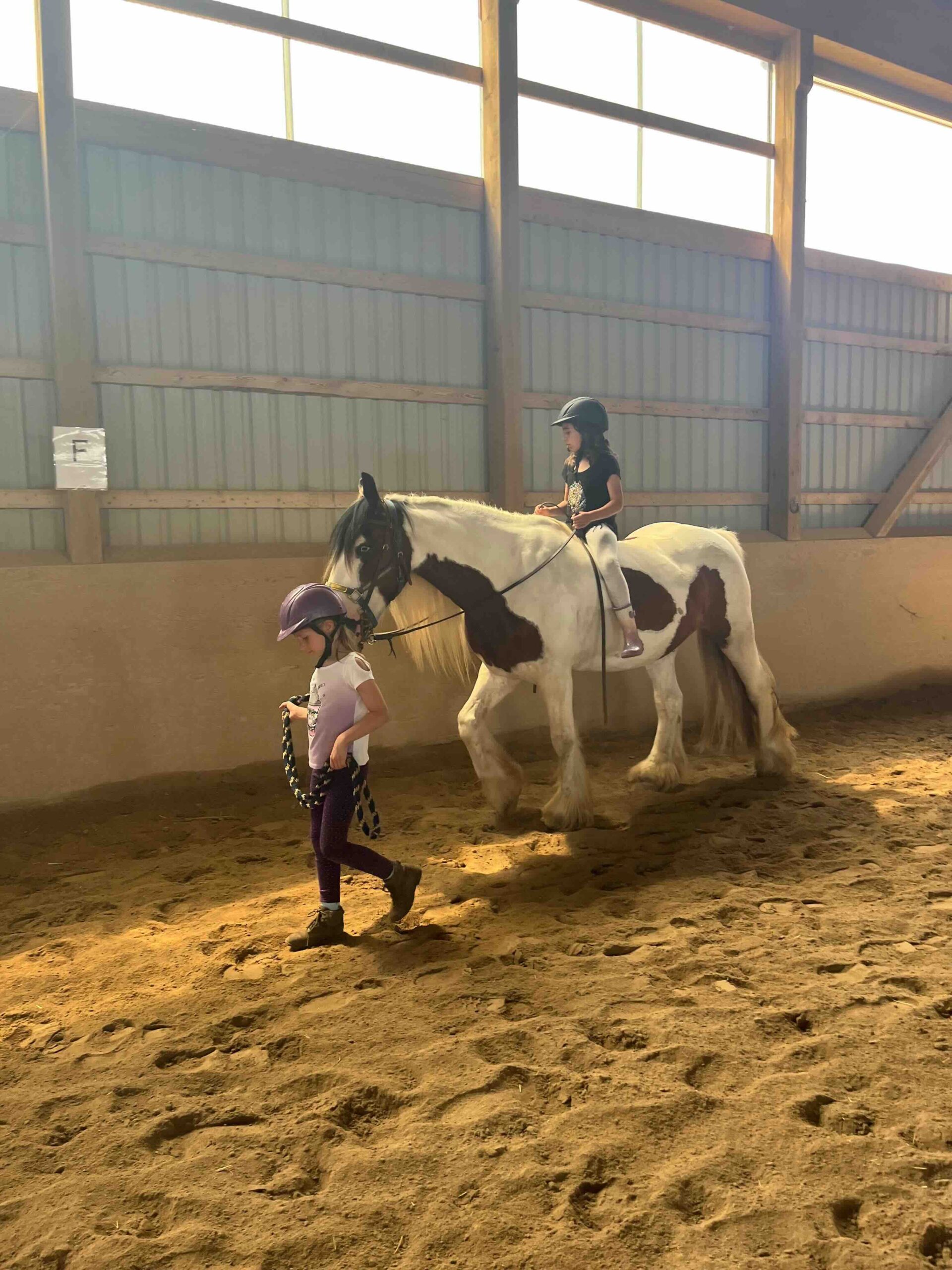 Groundwork and horsemanship at Jäger Ranch